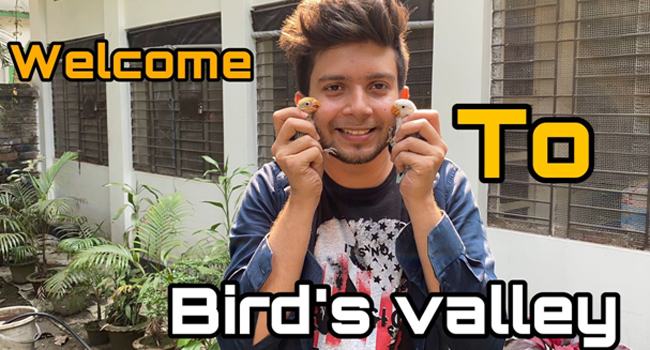 পাখি পালনের অনুপ্রেরণায় ফেসবুক পেজ ‘বার্ডস ভ্যালি’