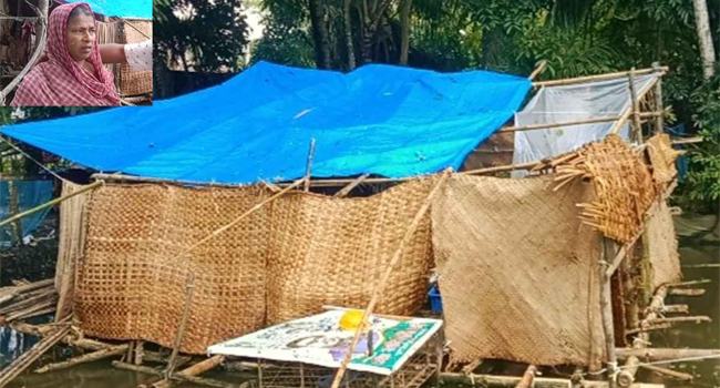 ‘কোথাও জায়গা নাই, তাই পুকুরে মাচা বানাইয়া থাকি’