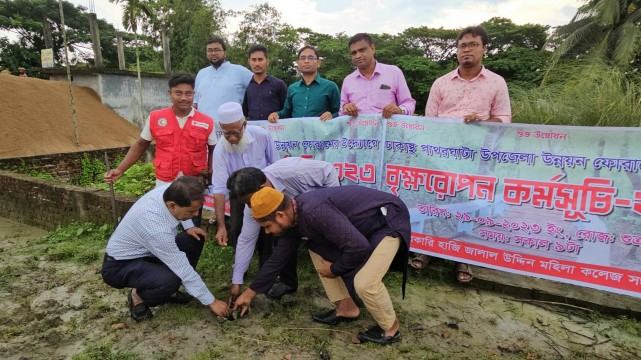 পাথরঘাটা সড়কে ১০ হাজার তালের বীজ রোপন