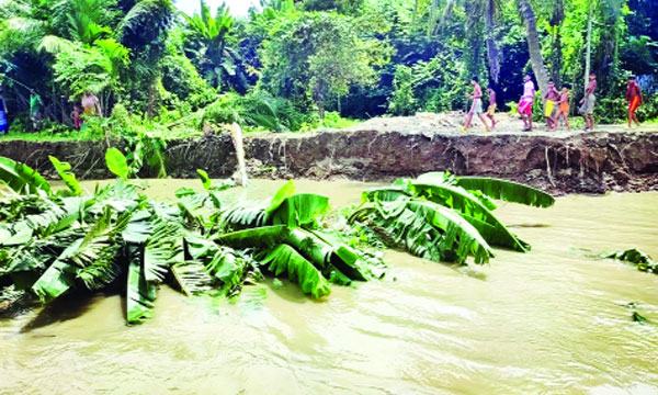 অসময়ে ভাঙনে বিলীন ৩শ’ পরিবারের বসতভিটা