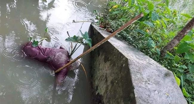 ঝালকাঠির নলছিটি খাল থেকে অজ্ঞাত বৃদ্ধের লাশ উদ্ধার