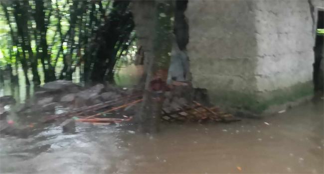 বগুড়ার কাহালুতে ২ শতাধিক বসতভিটায় পানি
