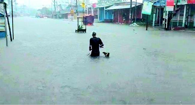 ভারী বর্ষণে তলিয়ে গেছে কিশোরগঞ্জের রাস্তাঘাট, বাসাবাড়িতে পানি