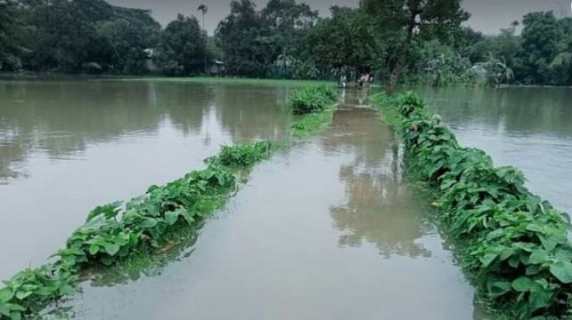 হোসেনপুরে টানা বর্ষণে শতাধিক মৎস্য খামার তলিয়ে গেছে