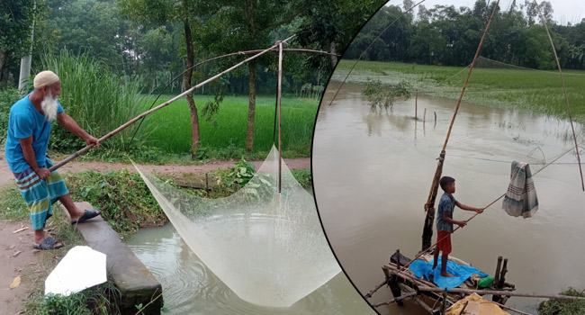 সখীপুরে ফসলের জমি ও খাল-বিলে মাছ শিকারের হিড়িক