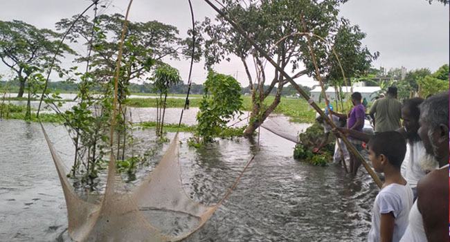 ঈশ্বরগঞ্জে টানা বর্ষণ : পানির নিচে ৫৮৫ হেক্টর জমি, ভেসে গেছে ১ হাজার ৪৫ হেক্টর ফিসারির মাছ