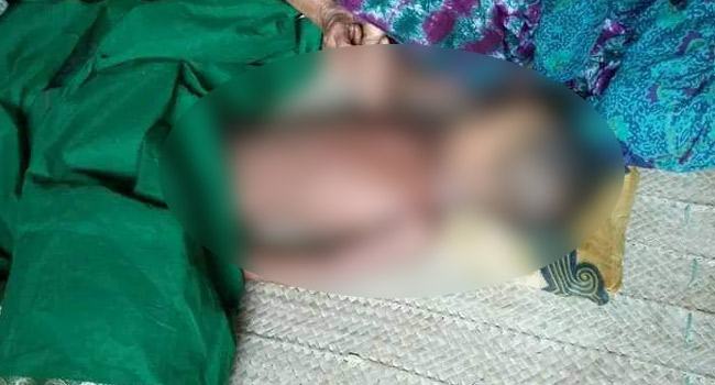 জীবননগরে কাঠ ভর্তি পাওয়ার টিলারের ধাক্কায় প্রাণ গেল শিশু হাসিবুরের