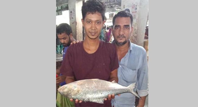 বরগুনায় ৩ কেজি ওজনের ইলিশ পৌনে ১০ হাজার টাকা!