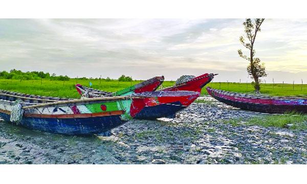 সুন্দরবনের প্রতিচ্ছবি ডোমখালী বনাঞ্চল