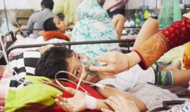 ডেঙ্গু আক্রান্ত বেশিরভাগ শিশু ডেন-২ ধরনে আক্রান্ত