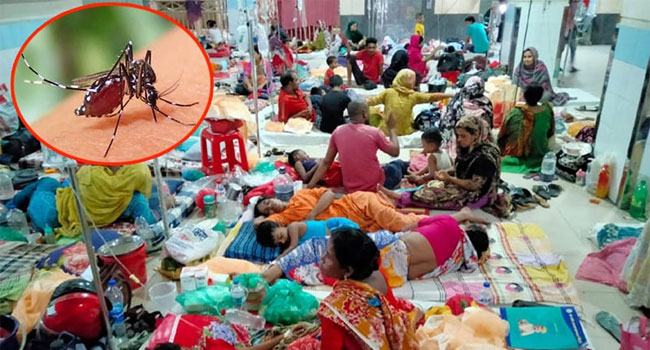 ডেঙ্গুতে আরো ৯ জনের মৃত্যু, বেড়েছে হাসপাতালে ভর্তি