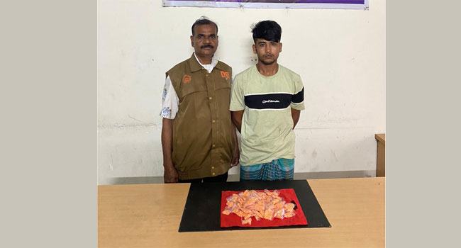 মুন্সীগঞ্জে বিপুল পরিমাণ ইয়াবাসহ একজন গ্রেফতার