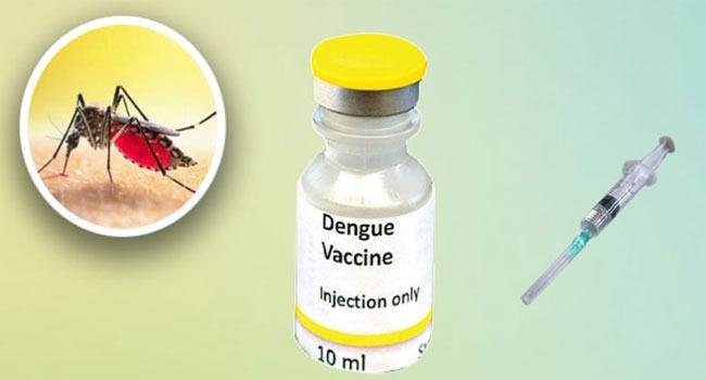 ডেঙ্গুর ওষুধ : প্রথম ট্রায়ালেই সাফল্য