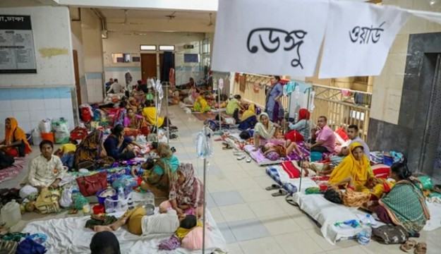 কমছে না ডেঙ্গুতে মৃত্যুর মিছিল, একদিনে আরো ২০ জনের মৃত্যু