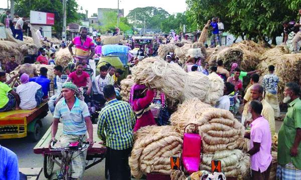 চাটমোহরে সড়ক দখল করে পাটের হাট ভোগান্তিতে যানবাহন ও পথচারীরা