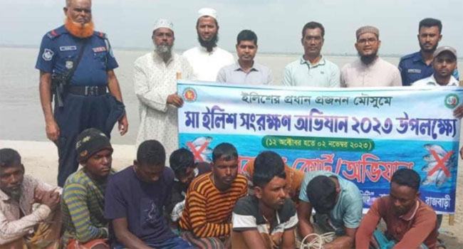 পদ্মায় ইলিশ শিকারের দায়ে ৪ জেলের কারাদণ্ড ও ১২ জনকে জরিমানা