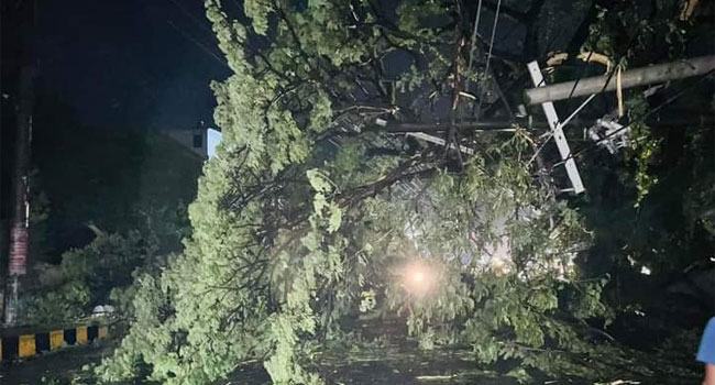 ঘূর্ণিঝড় ‘হামুন' : কক্সবাজার ও চট্টগ্রামে মৃত্যু বেড়ে ৬