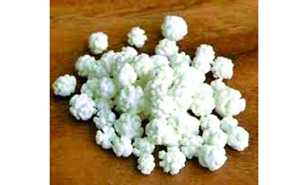 খাগড়াই বা নকুলদানা