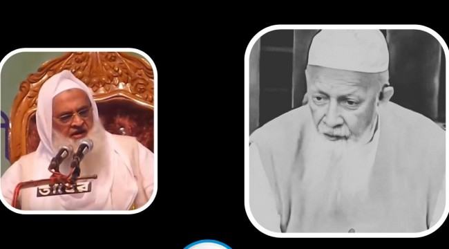 প্রফেসর হামীদুর রহমানের ইন্তেকালে আল্লামা মাহমূদুল হাসানের শোক