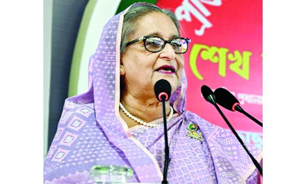 সাংবাদিক নির্যাতনের ঘটনা আন্তর্জাতিক অঙ্গনে তুলে ধরুন : প্রধানমন্ত্রী