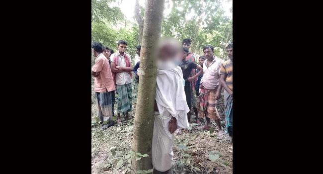 শৈলকুপায় মেহগনি বাগান থেকে এক ব্যক্তির ঝুলন্ত লাশ উদ্ধার