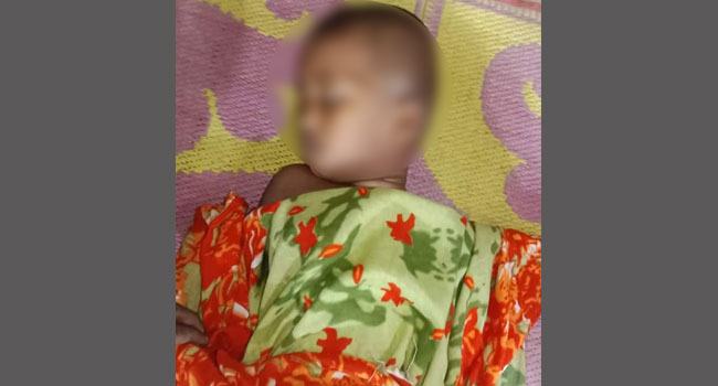 নানার বাড়ি বেড়াতে গিয়ে শিশুর মৃত্যু