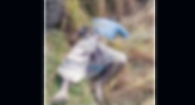 শিবগঞ্জে ধানক্ষেতে মিলল কৃষকের অর্ধগলিত লাশ