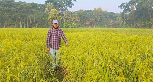শিক্ষকতার পাশাপাশি কৃষিতে সফল আব্দুর রহমান