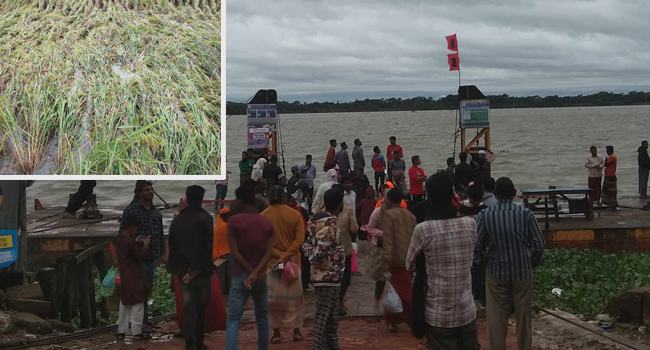 ঘূর্ণিঝড় মিধিলির প্রভাবে সাগরে ট্রলার ও জেলে নিখোঁজ, লণ্ডভণ্ড ধানের গাছ