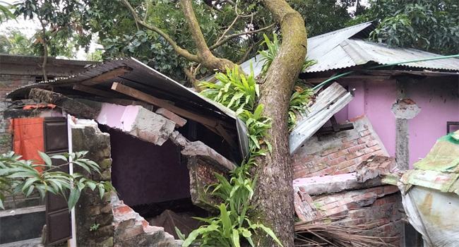 মিধিলির প্রভাবে হাতিয়ায় ৩ শতাধিক ঘর ও আমনের ব্যাপক ক্ষতি