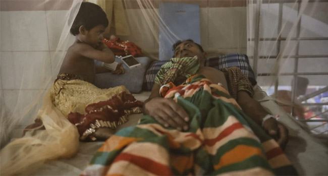 ডেঙ্গুতে আরো ৫ জনের মৃত্যু, আক্রান্ত ১১৯৭
