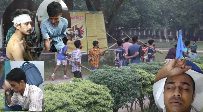 খেলা নিয়ে ইবি শিক্ষার্থীদের সংঘর্ষ, আহত ১২
