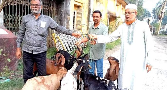 এক বছর সাজাভোগের পর মুক্তি পেল ৯টি ছাগল
