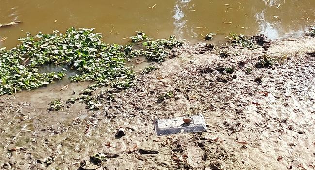 বগুড়ার শিবগঞ্জে নদী থেকে গ্রেনেড উদ্ধার