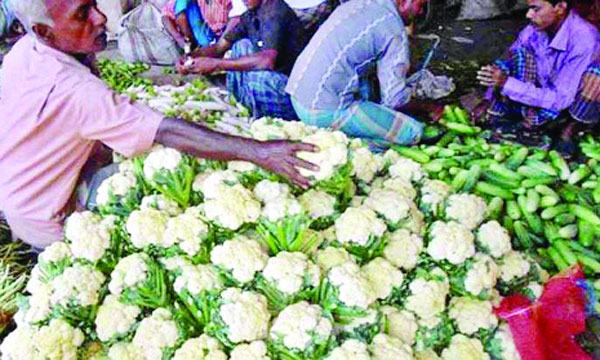 ঘাটাইলে পরিবহন সঙ্কটে সবজি নিয়ে বিপাকে কৃষকরা