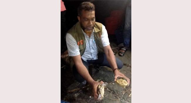 মিরসরাইয়ে পাচারের সময় ৩০০ কাছিম উদ্ধার