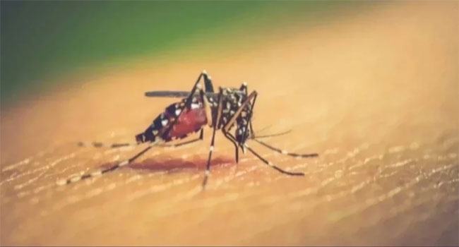 ডেঙ্গুতে আরো ২ জনের মৃত্যু, আক্রান্ত ৩৬২