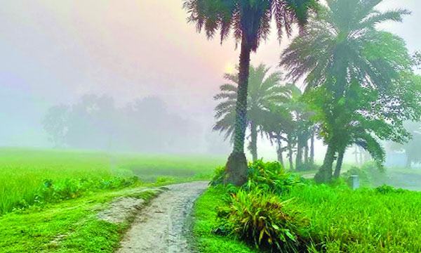 শিশিরভেজা শীতের সকাল