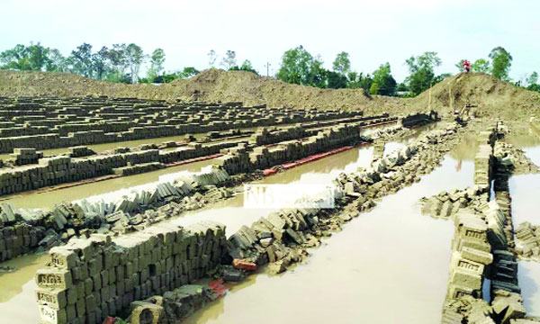 চৌগাছায় হঠাৎ বৃষ্টিতে ১০ কোটি টাকার কাঁচা ইট নষ্ট