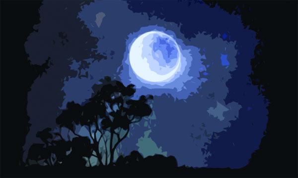 জ্যোৎস্না রাত