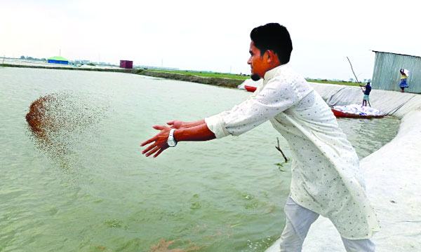 চাকরির পেছনে না ছুটে তরুণ অহিদুন নবীর সাফল্যের গল্প