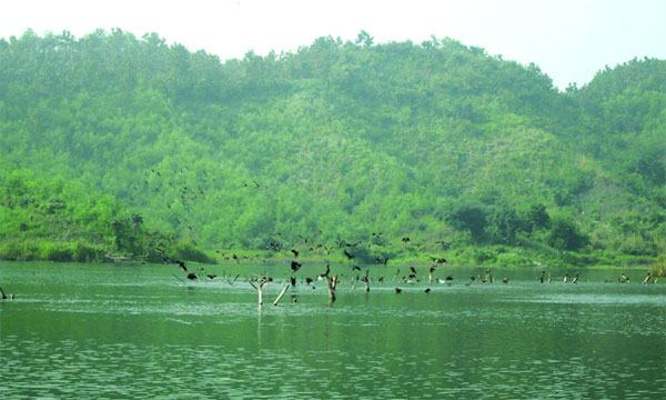 অতিথি পাখির আগমনে মুখরিত মহামায়া