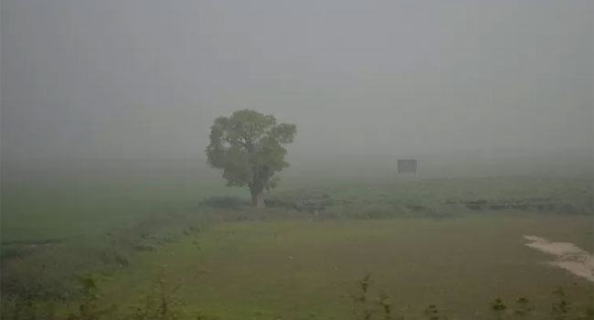 সপ্তাহ-জুড়ে দেশের সর্বনিম্ন তাপমাত্রা তেঁতুলিয়ায়