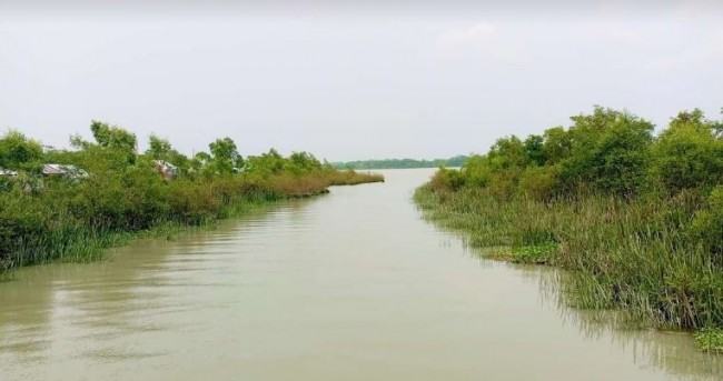 কাঁঠালিয়ার ছৈলারচর যেন এক টুকরো সুন্দরবন