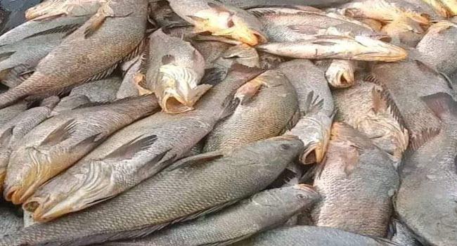 এক রাতেই কোটিপতি!