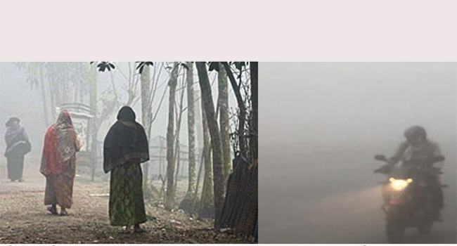 কুয়াশার চাদরে মোড়ানো ভান্ডারিয়া, হেড লাইট জ্বালিয়ে চলছে গাড়ি