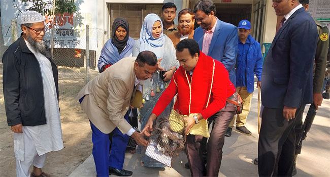 সিংড়ায় খাঁচাবন্দী ৬ ঘুঘু অবমুক্ত