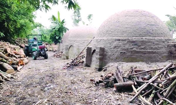 কাঠ পুড়িয়ে কয়লা ও সিসা কারখানা : পরিবেশে বিপর্যয়