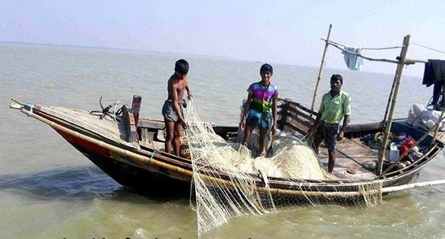 দশমিনায় জালে মিলছে না ইলিশ, দিশেহারা জেলেরা