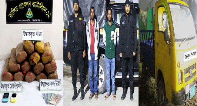 উল্লাপাড়ায় ২৩ কেজি গাঁজাসহ ২ মাদক কারবারি গ্রেফতার